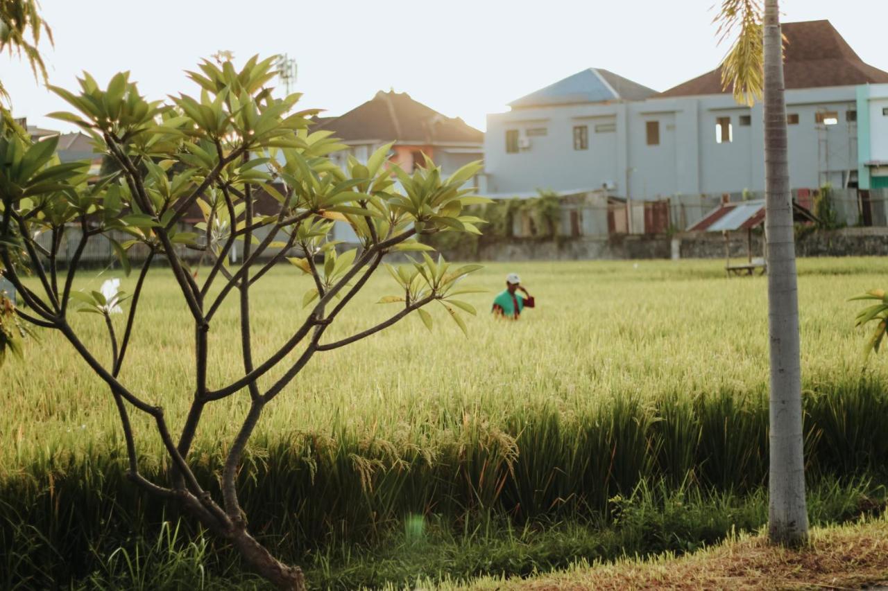 Hotel Mandari Buleleng  Luaran gambar